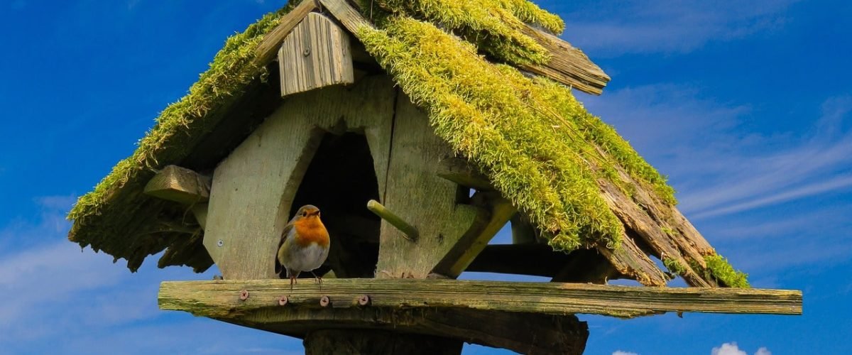 Vogelhuisje