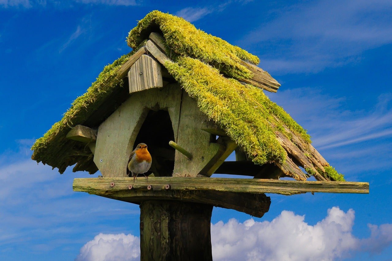 Vogelhuisje